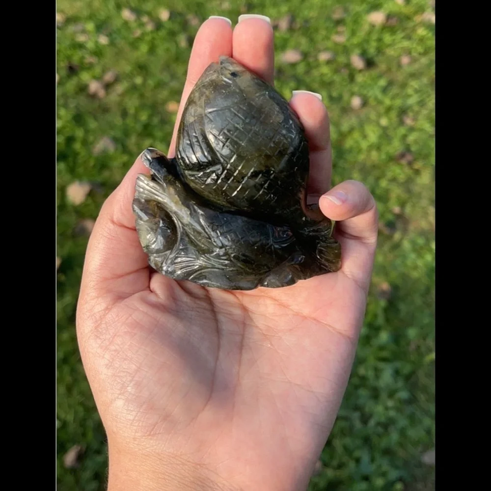 🐟 Fish Labradorite Carving/Figurine